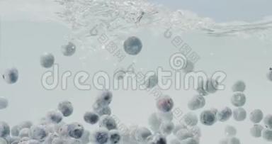 大型成熟蓝莓漂浮在清澈的清水中，白色背景在<strong>玻璃</strong>容器中。 溅在<strong>水面</strong>上